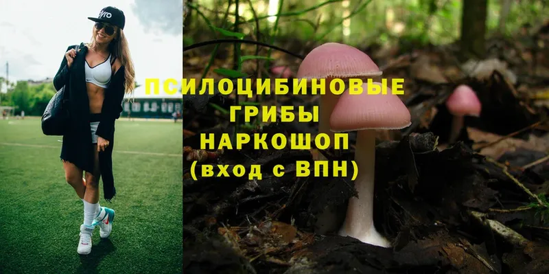 дарнет шоп  Бугульма  Псилоцибиновые грибы Magic Shrooms 