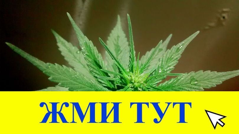 Купить наркотики в Бугульме